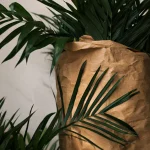 gallery-2-5